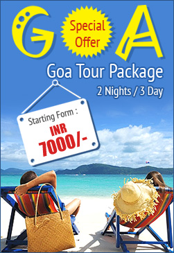 Winter Offer