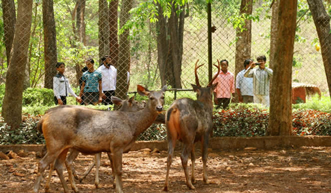 bondla wildlife sanctuary goa