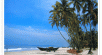 Goa Beaches